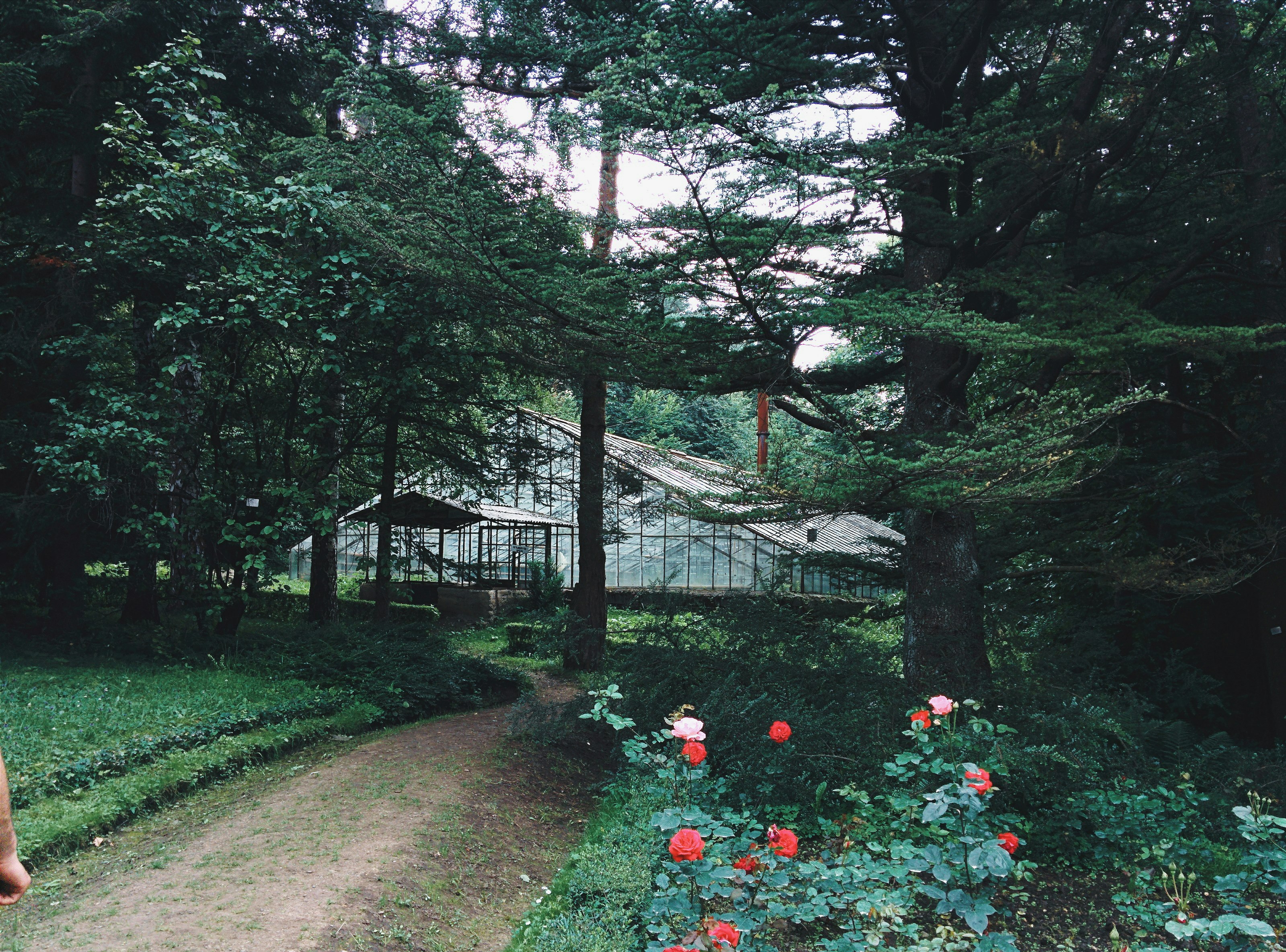 pathway between garden